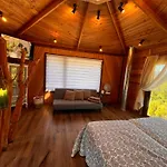 Alma De Cabanas Vert